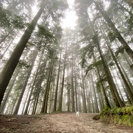 Pthouse Appartement *