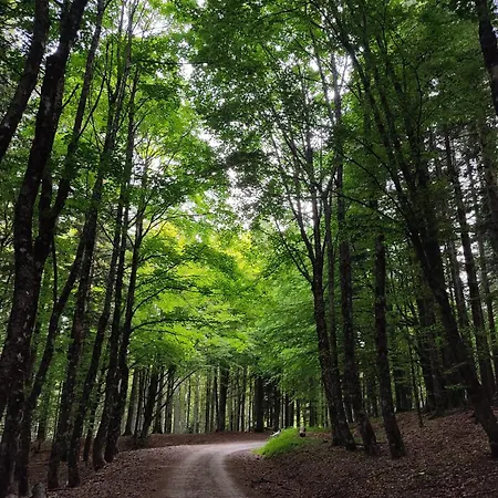 Pthouse Appartement *