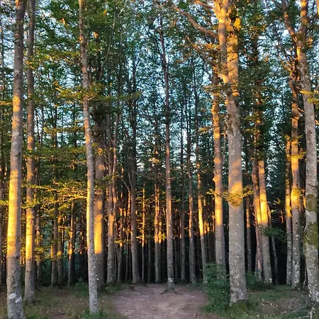 Pthouse Apartament Badia Prataglia